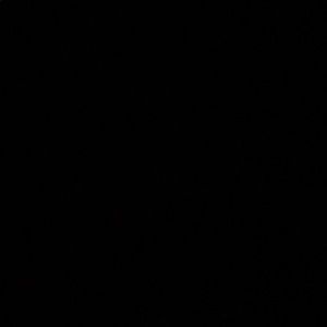 Meet your Posher, Bryson